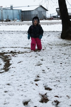 Kesa in the snow