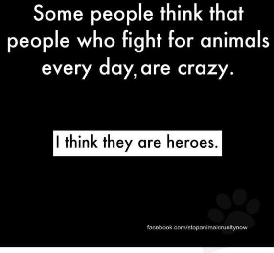 392108_276768049040807_186352638082349_896706_1764777056_n