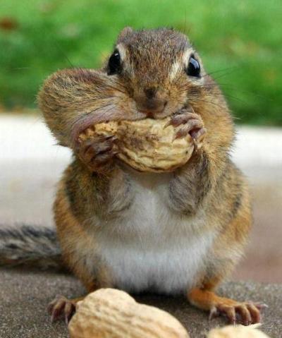 tumblr_m720ygBAUR1r38hk2o1_1280