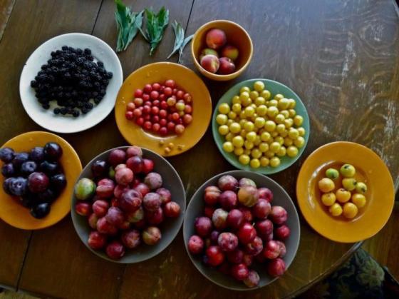 564591_325850220838027_195524288_n