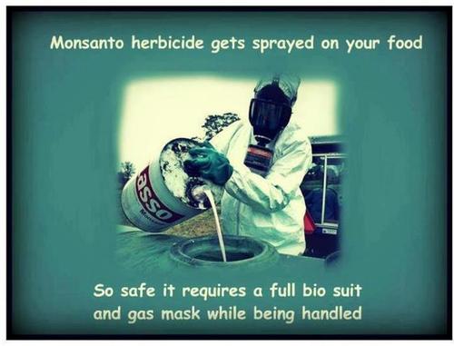 tumblr_m7f97k9Dha1rwh5huo1_500