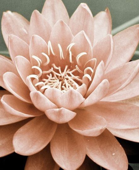 tumblr_m9nlwqvosW1r5y2qmo1_500