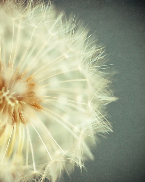 tumblr_m8kv5fYqC81qgv86lo1_500