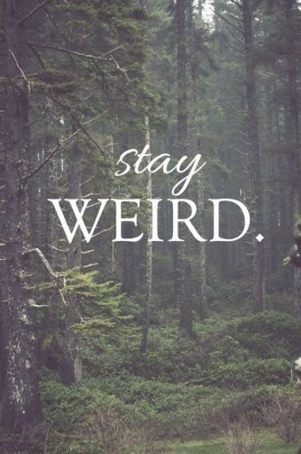 805dac785eddcde6964c59948ff525e0