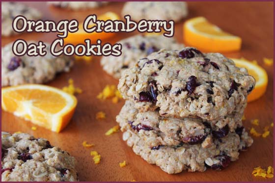 orange cranberry oat cookies