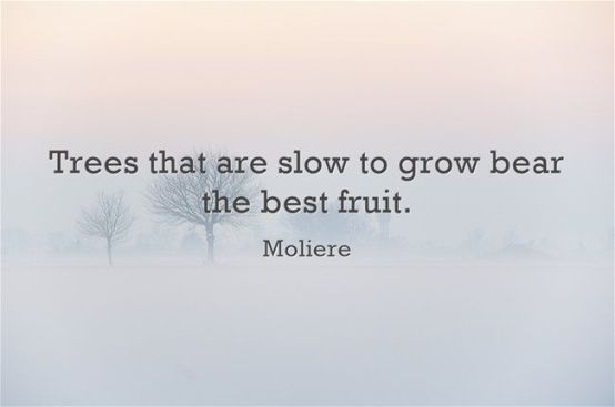 0b20d86501222a43ee1c516a41540bd5