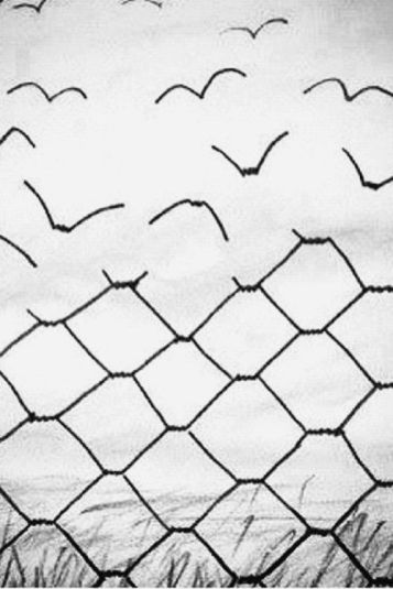 2f56f927b67a5d1f3f01fcdef1207f4a