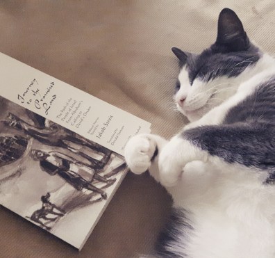 IMG_20170926_172441_387