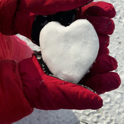 IMG_20171111_170600_627