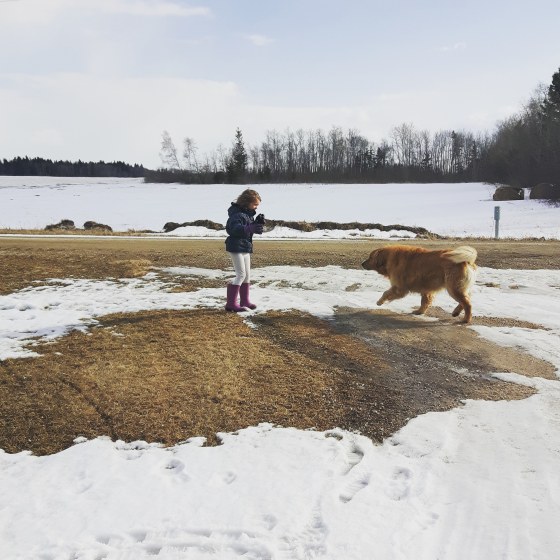 IMG_20180410_175658_375